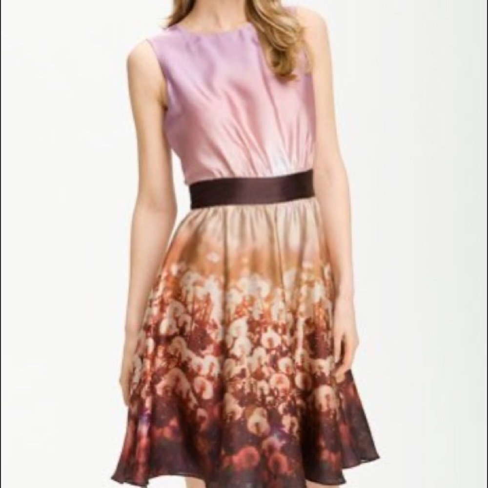 Ted Baker London 'Dandelion' Print Dress